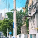淝滨路 - 合肥市旅游 缩略图 6