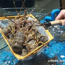 上海城隍庙 - 上海市旅游 缩略图 3