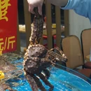 上海城隍庙 - 上海市旅游 缩略图 6