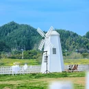 南溪南 - 黄山市旅游 缩略图 1