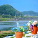 南溪南 - 黄山市旅游 缩略图 2