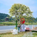 南溪南 - 黄山市旅游 缩略图 9
