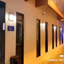 上海植物园 - 上海市旅游 缩略图 1