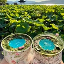 寄畅兴·百年蟹黄面·非遗杭帮菜(西湖庭院景观店) - 杭州市旅游 缩略图 3