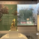 成都博物馆 - 成都旅游 缩略图 7
