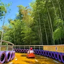 江南瑶坞旅游度假区游客中心 - 湖州市旅游 缩略图 2