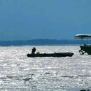 瓦晒湾·海洋秘境 - 阳江市旅游 缩略图 5