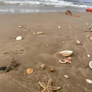 瓦晒湾·海洋秘境 - 阳江市旅游 缩略图 8