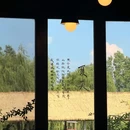 乌村 - 嘉兴市旅游 缩略图 7