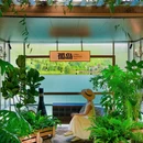 伊塞克湖州 - 吉尔吉斯斯坦旅游 缩略图 3