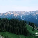 赛里木湖打卡地 - 博尔塔拉蒙古自治州旅游 缩略图 4