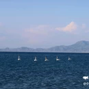 赛里木湖打卡地 - 博尔塔拉蒙古自治州旅游 缩略图 9