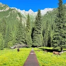 夏塔古道国家森林公园 - 伊犁哈萨克自治州旅游 缩略图 6