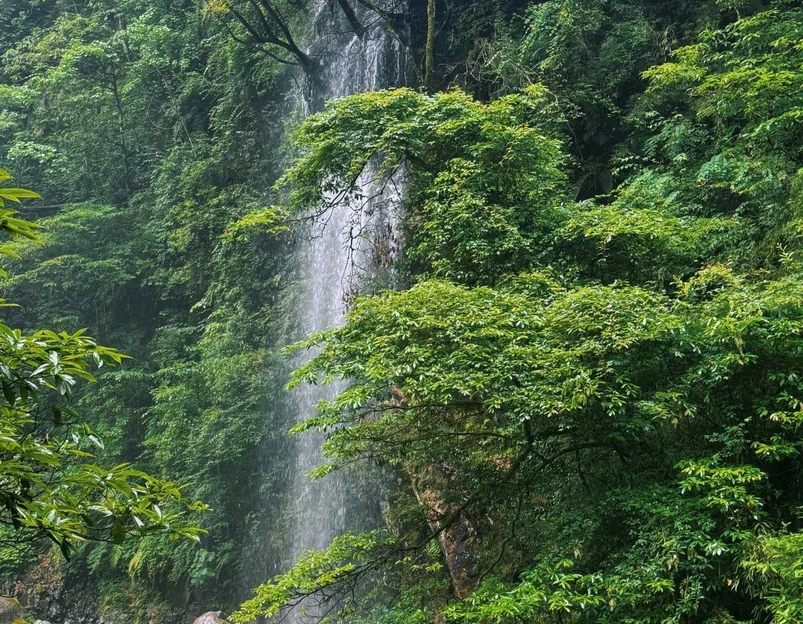西岭雪山大飞水景区 - 成都市旅游 1