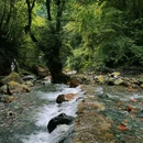 西岭雪山大飞水景区 - 成都市旅游 缩略图 3