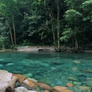 西岭雪山大飞水景区 - 成都市旅游 缩略图 8