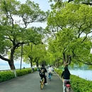 东湖磨山景区 - 武汉市旅游 缩略图 1