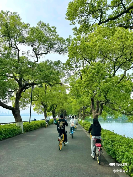 东湖磨山景区 - 武汉市旅游