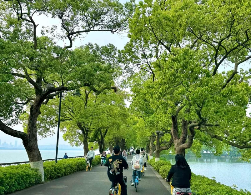 东湖磨山景区 - 武汉市旅游 1