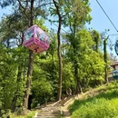 东湖磨山景区 - 武汉市旅游 缩略图 5