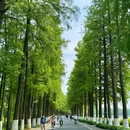 东湖磨山景区 - 武汉市旅游 缩略图 6