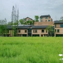 金华十二杉房开元名庭度假酒店 - 金华市旅游 缩略图 6