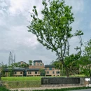 金华十二杉房开元名庭度假酒店 - 金华市旅游 缩略图 8