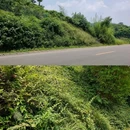 平乐古镇 - 成都市旅游 缩略图 7