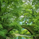 江西灵山风景名胜区 - 上饶市旅游 缩略图 2
