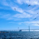 大连星海广场-音乐喷泉 - 大连市旅游 缩略图 4
