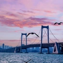 大连星海广场-音乐喷泉 - 大连市旅游 缩略图 8