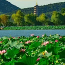 杭州西湖风景名胜区-断桥 - 杭州市旅游 缩略图 1