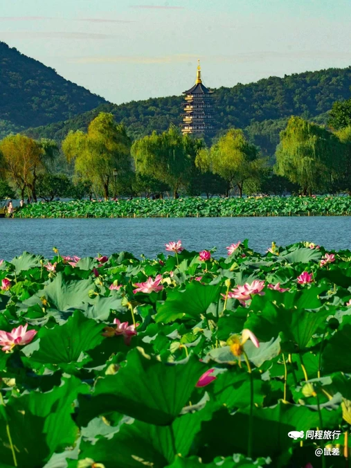 杭州西湖风景名胜区-断桥 - 杭州市旅游