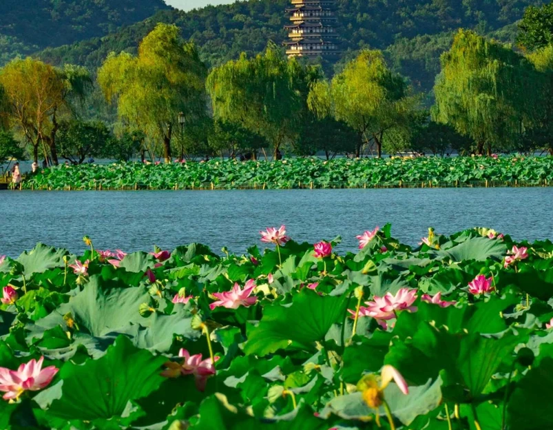 杭州西湖风景名胜区-断桥 - 杭州市旅游 1