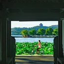杭州西湖风景名胜区-断桥 - 杭州市旅游 缩略图 3