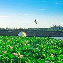 杭州西湖风景名胜区-断桥 - 杭州市旅游 缩略图 2