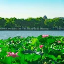 杭州西湖风景名胜区-断桥 - 杭州市旅游 缩略图 5