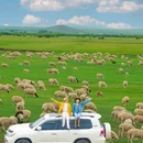 额尔古纳湿地 - 呼伦贝尔市旅游 缩略图 1