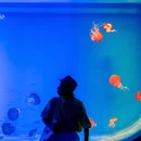 徐州欧乐堡海洋极地世界 - 徐州市旅游 缩略图 3