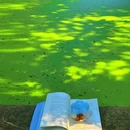 博吉马术学院(中山陵校区) - 南京市旅游 缩略图 4