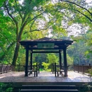 博吉马术学院(中山陵校区) - 南京市旅游 缩略图 9