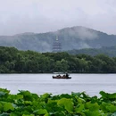 杭州西湖风景名胜区-曲院风荷 - 杭州市旅游 缩略图 2