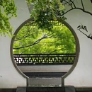 杭州西湖风景名胜区-曲院风荷 - 杭州市旅游 缩略图 8