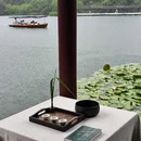 杭州西湖风景名胜区-曲院风荷 - 杭州市旅游 缩略图 9