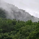 杭州西湖风景名胜区-曲院风荷 - 杭州市旅游 缩略图 6