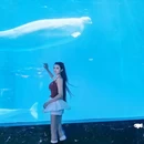 成都极地海洋公园 - 成都市旅游 缩略图 2