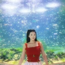 成都极地海洋公园 - 成都市旅游 缩略图 4