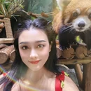 成都极地海洋公园 - 成都市旅游 缩略图 9