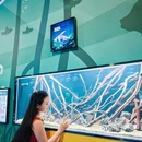 成都极地海洋公园 - 成都市旅游 缩略图 7
