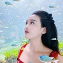 成都极地海洋公园 - 成都市旅游 缩略图 6